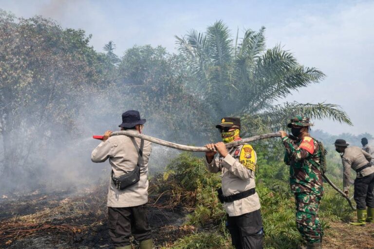 Niat Bersihkan Kebun, Lansia di Kalbar Malah Jadi Tersangka Pembakaran Lahan