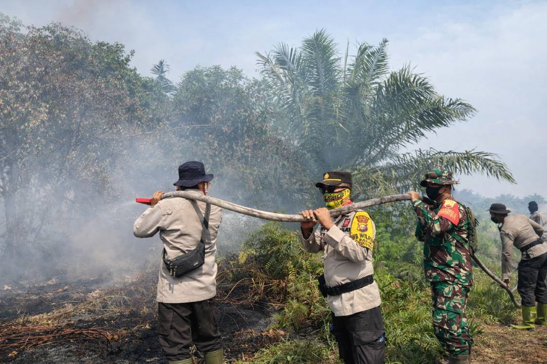 Niat Bersihkan Kebun, Lansia di Kalbar Malah Jadi Tersangka Pembakaran Lahan
