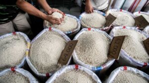 Harga Beras Kembali Naik, Dipicu Mahalnya Gabah dan Kemasan Plastik