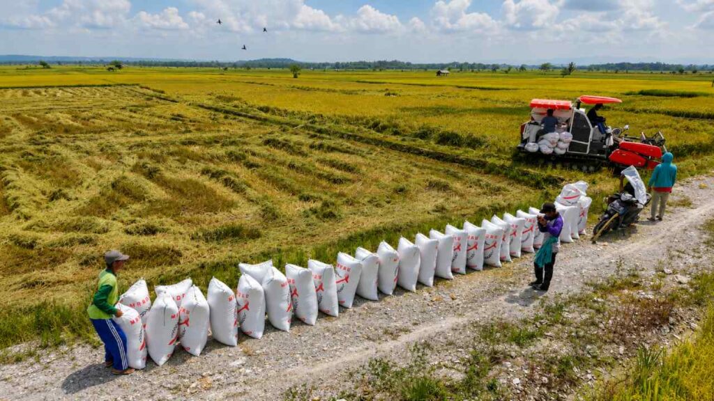 Saat Inflasi Pangan Terlihat Tenang, Beban Produksi Justru Terus Membesar