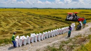 Saat Inflasi Pangan Terlihat Tenang, Beban Produksi Justru Terus Membesar