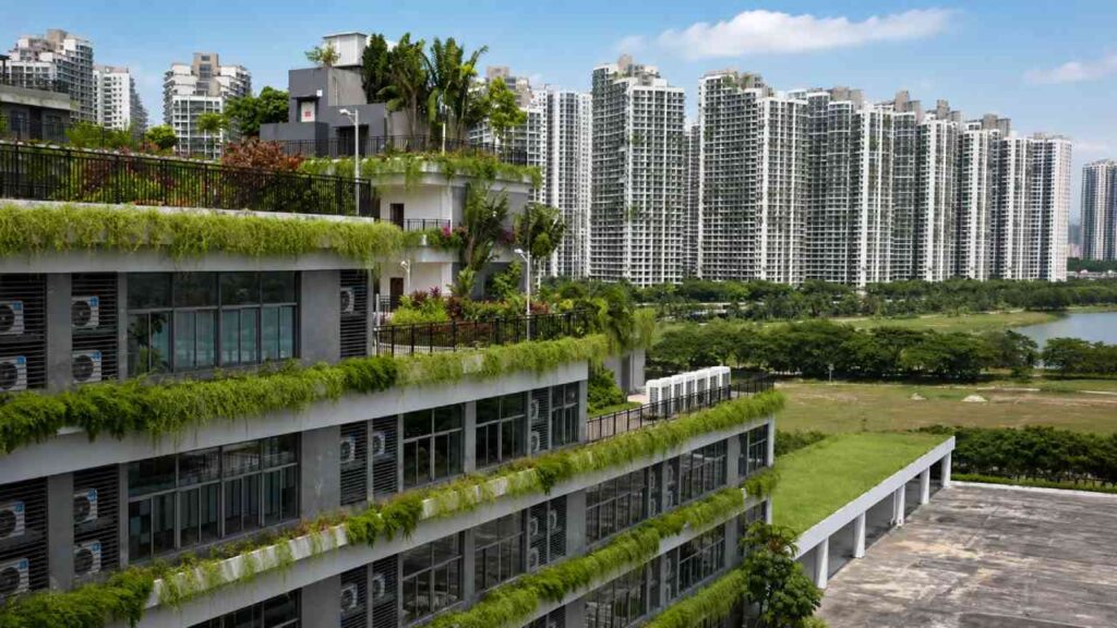 Dari Kota Impian Menjadi Persembunyian Sindikat, Sisi Gelap Forest City Malaysia